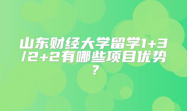山东财经大学留学1+3/2+2有哪些项目优势？