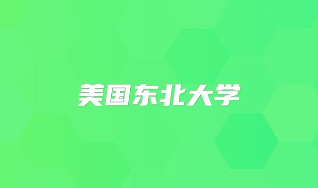 美国东北大学