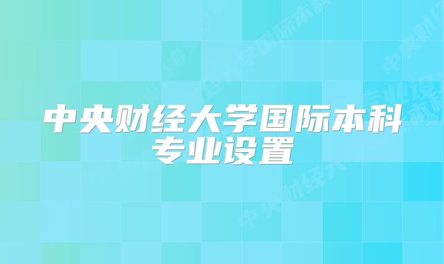 中央财经大学国际本科专业设置