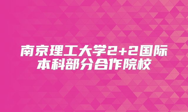 南京理工大学2+2国际本科部分合作院校