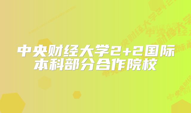中央财经大学2+2国际本科部分合作院校
