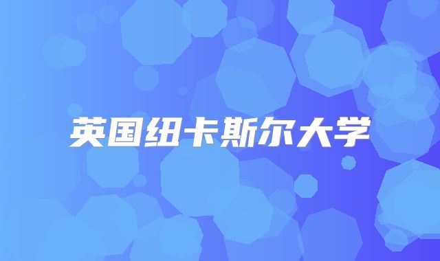 英国纽卡斯尔大学