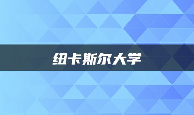纽卡斯尔大学