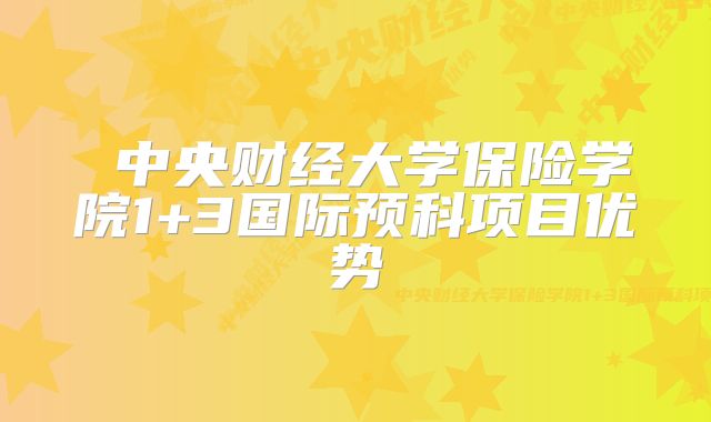  中央财经大学保险学院1+3国际预科项目优势