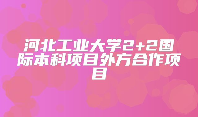 河北工业大学2+2国际本科项目外方合作项目