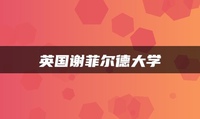 英国谢菲尔德大学