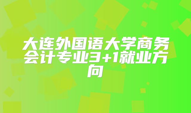 大连外国语大学商务会计专业3+1就业方向