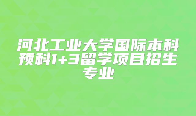 河北工业大学国际本科预科1+3留学项目招生专业