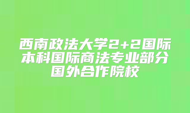 西南政法大学2+2国际本科国际商法专业部分国外合作院校