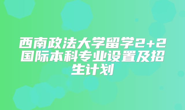 西南政法大学留学2+2国际本科专业设置及招生计划