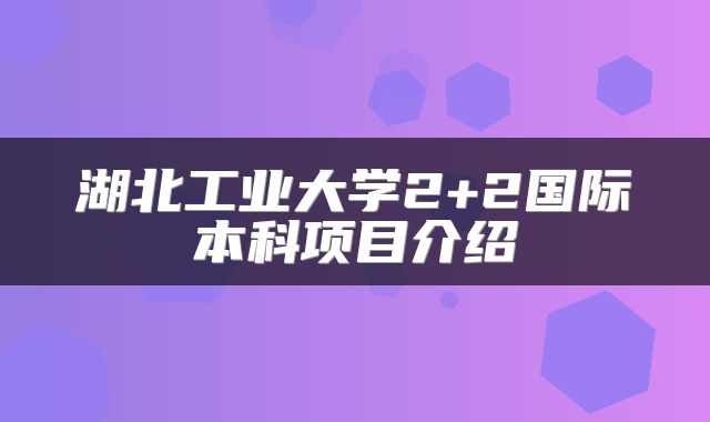 湖北工业大学2+2国际本科项目介绍