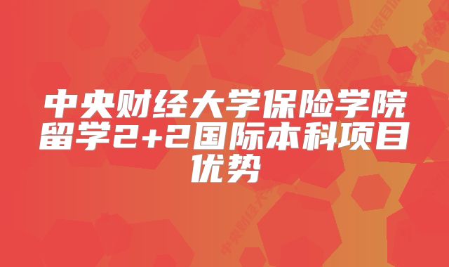 中央财经大学保险学院留学2+2国际本科项目优势