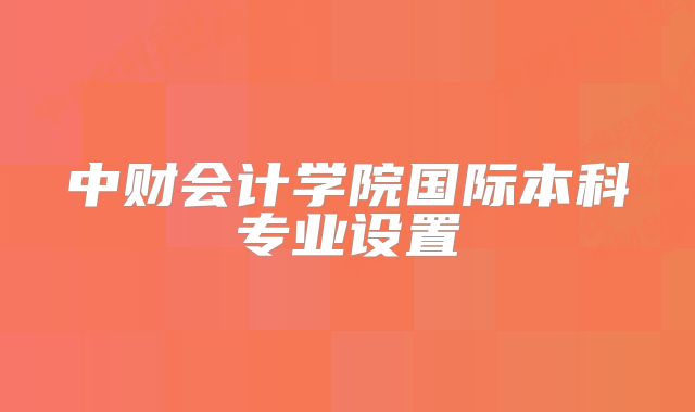 中财会计学院国际本科专业设置