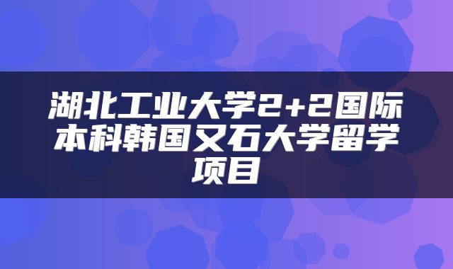 湖北工业大学2+2国际本科韩国又石大学留学项目