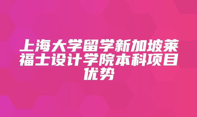 上海大学留学新加坡莱福士设计学院本科项目优势
