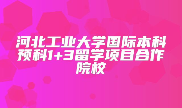 河北工业大学国际本科预科1+3留学项目合作院校