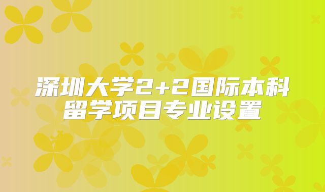 深圳大学2+2国际本科留学项目专业设置