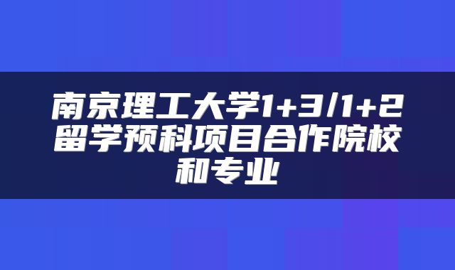 南京理工大学1+3/1+2留学预科项目合作院校和专业