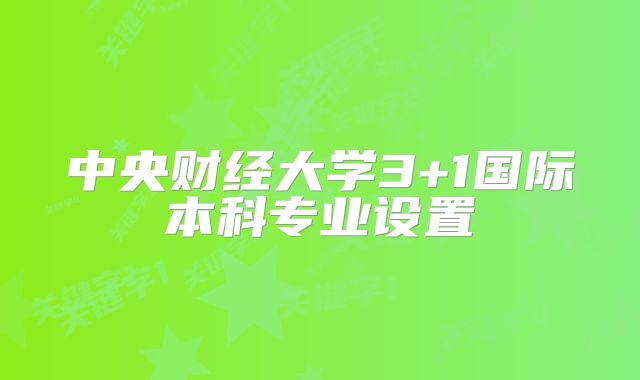 中央财经大学3+1国际本科专业设置