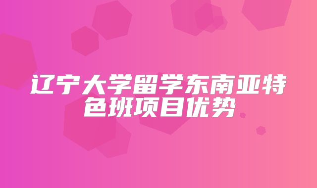 辽宁大学留学东南亚特色班项目优势