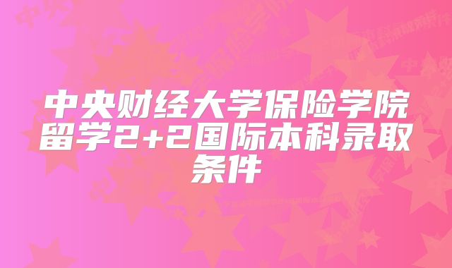 中央财经大学保险学院留学2+2国际本科录取条件