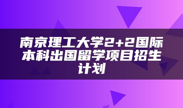 南京理工大学2+2国际本科出国留学项目招生计划