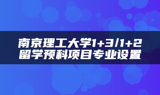 南京理工大学1+3/1+2留学预科项目专业设置