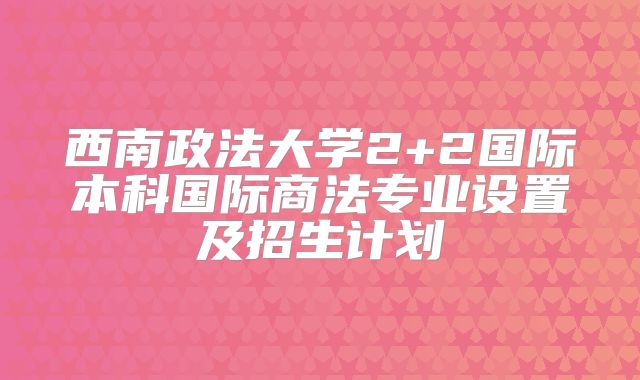 西南政法大学2+2国际本科国际商法专业设置及招生计划