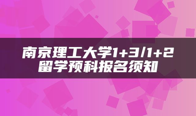 南京理工大学1+3/1+2留学预科报名须知