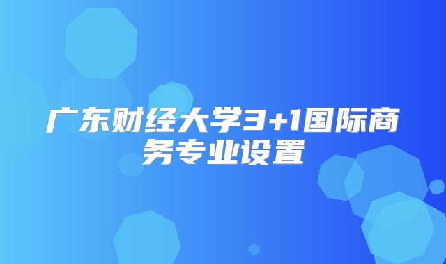 广东财经大学3+1国际商务专业设置