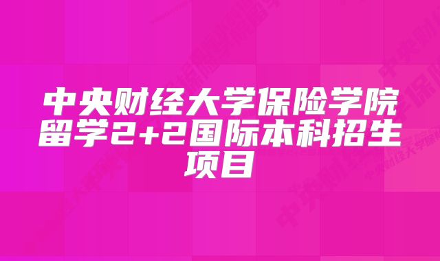 中央财经大学保险学院留学2+2国际本科招生项目