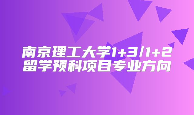 南京理工大学1+3/1+2留学预科项目专业方向