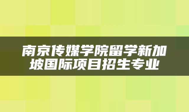 南京传媒学院留学新加坡国际项目招生专业