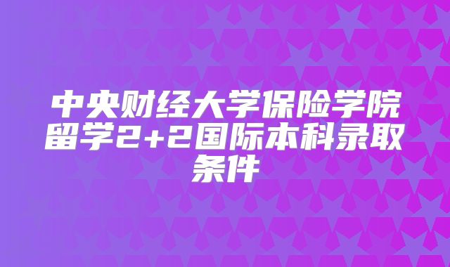 中央财经大学保险学院留学2+2国际本科录取条件